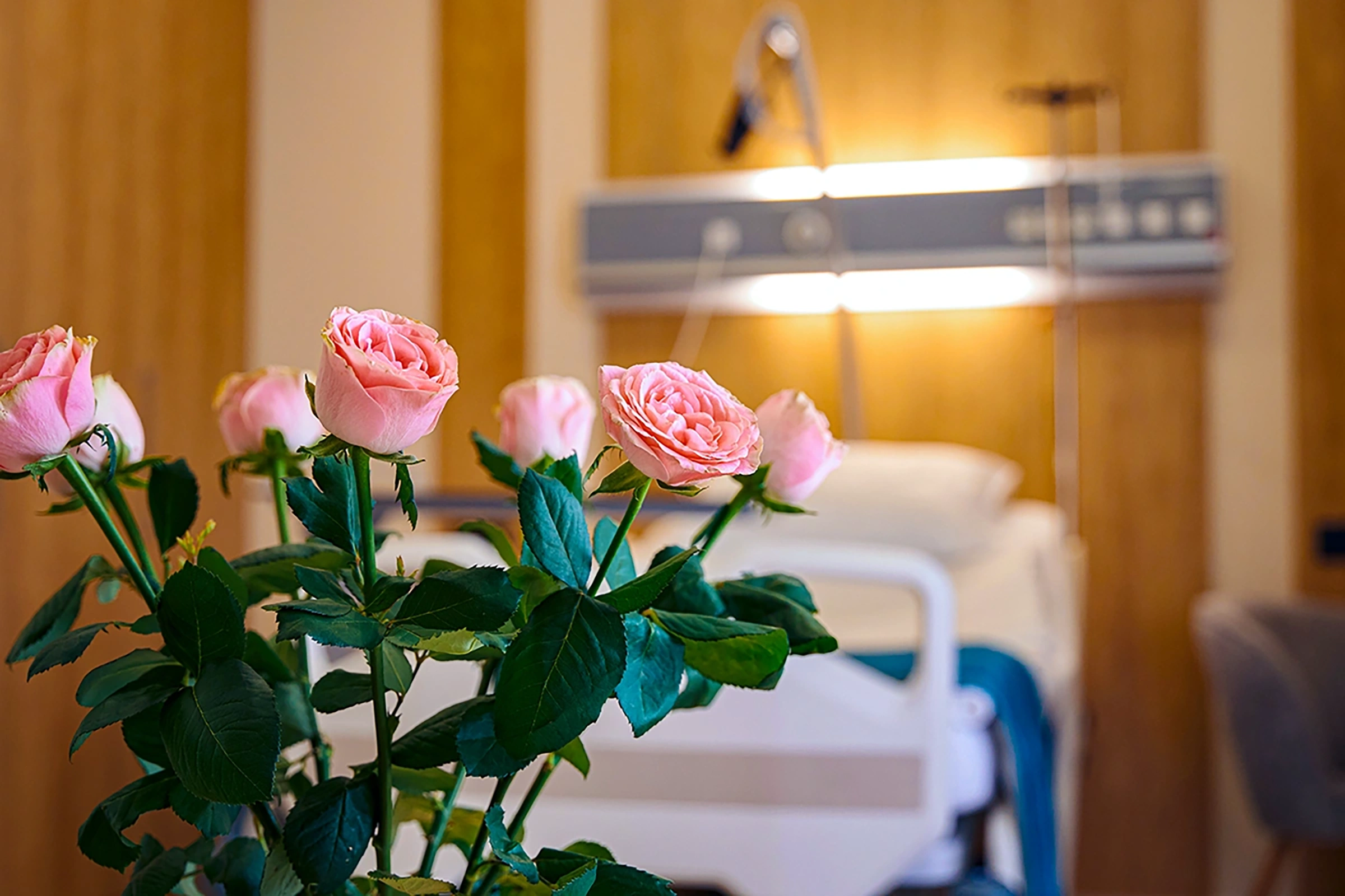 KTÜ Farabi Hasta Refakatçi Politikası